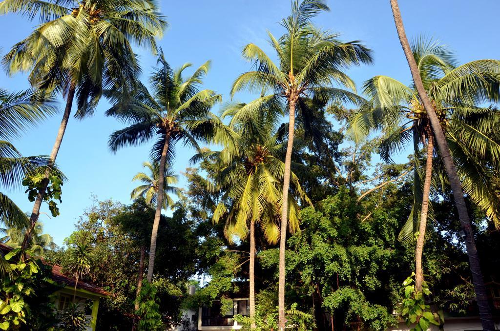 Calangute Beach Villa # 3Bhk # Pool # Kitchen # 300Mts To Beach By Gr Stays Exterior foto